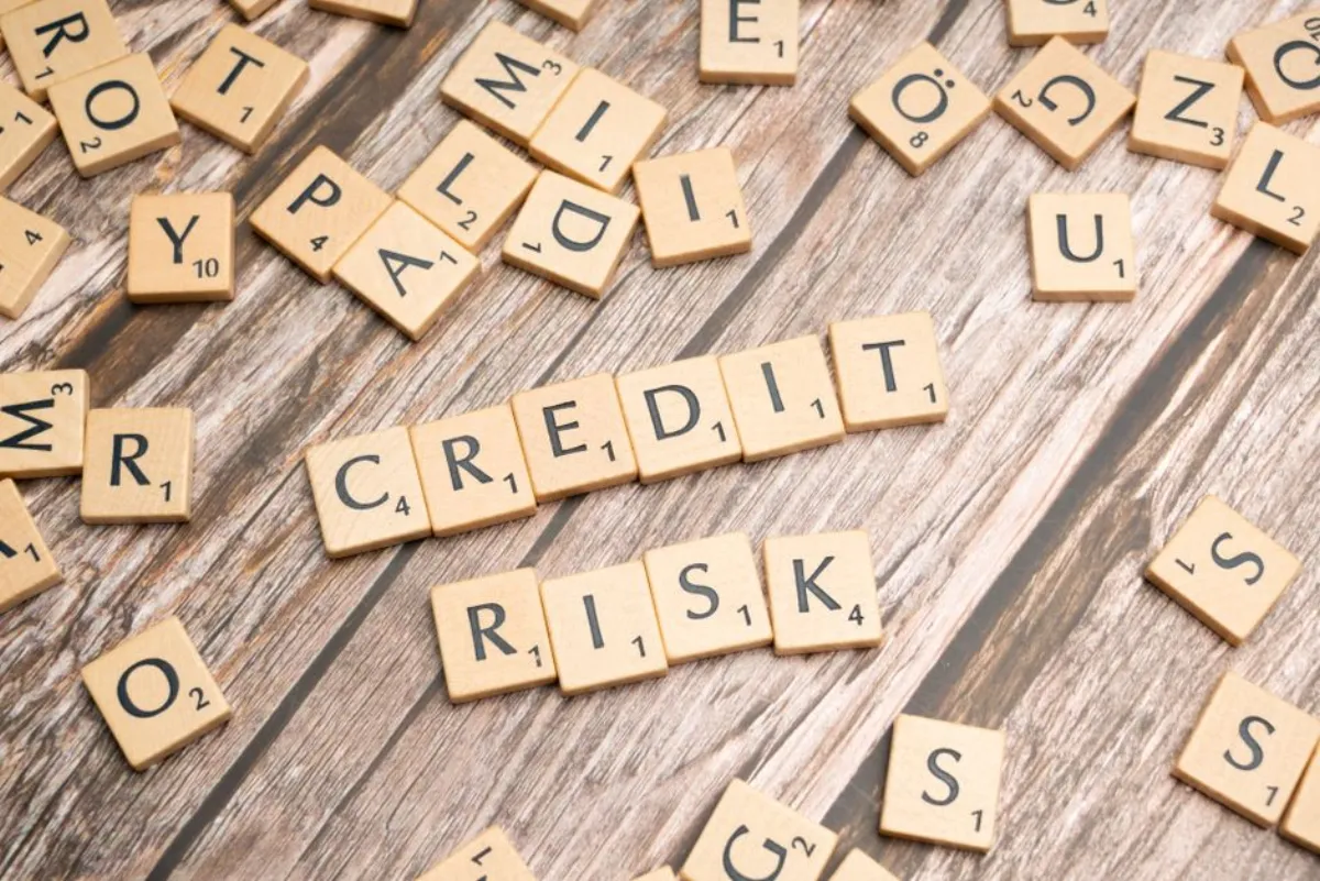 financial risk